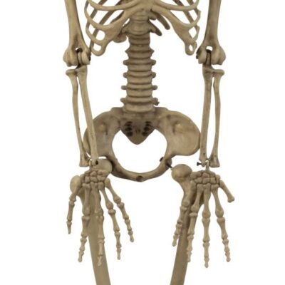 DEK Kabantis SKELETAS  h=apie 90cm w=20cm su LED lemputėmis