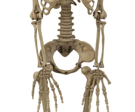 DEK Kabantis SKELETAS  h=apie 90cm w=20cm su LED lemputėmis