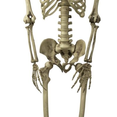 DEK Kabantis SKELETAS apie 160cm, p = 37cm su LED lemputėmis