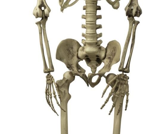 DEK Kabantis SKELETAS apie 160cm, p = 37cm su LED lemputėmis