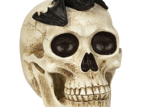 Kaukolė su šikšnosparniu h=17cm