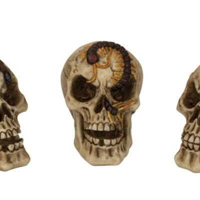 Kaukolė su voru, skorpionu ir šimtakoju, aukštis = 9 cm.