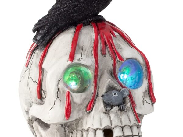 Kaukolės aukštis=24cm p=17cm, LED+garsas plojant