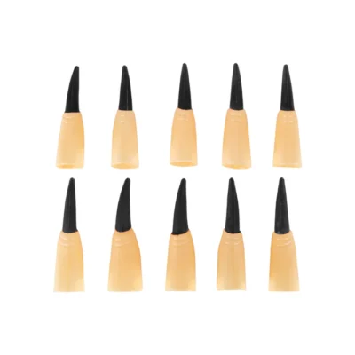 Raganų nagai 10 vnt.