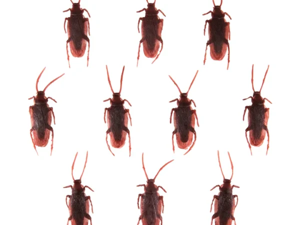 136706 Halloween Confetti Red tarakonai 10 vnt.