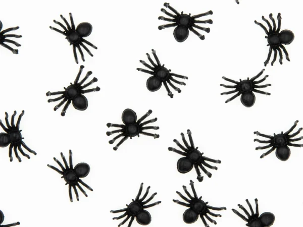 Helovino konfeti Black Spiders 10vnt