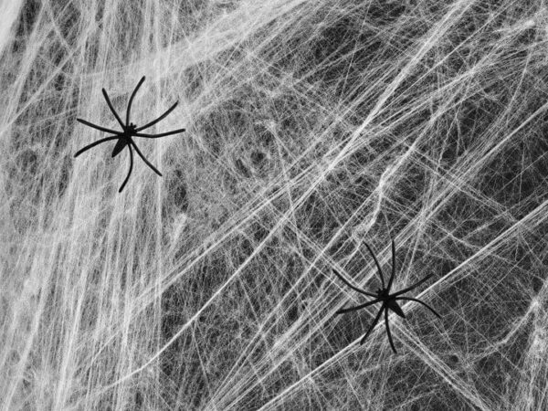 512532 Helovino voratinklis, baltas 200g