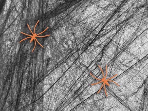 512533 Helovino voratinklis, juodas 200g