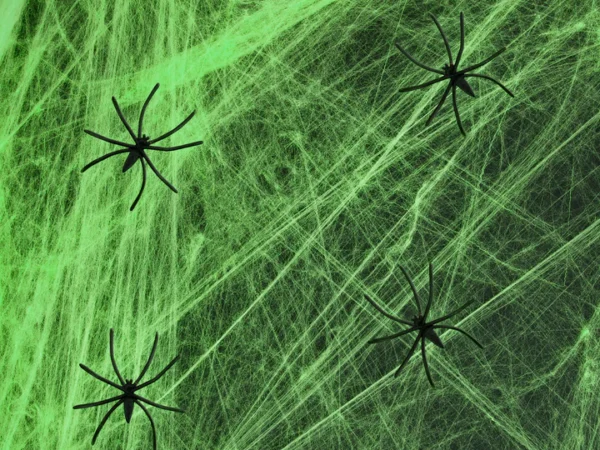 512544 Helovino voratinklio žalia 200g