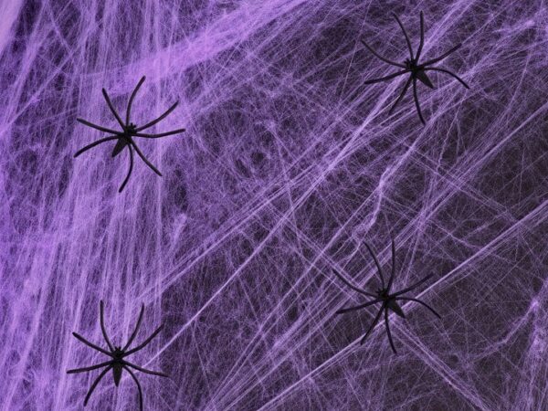 Helovino violetinis voratinklis 200g